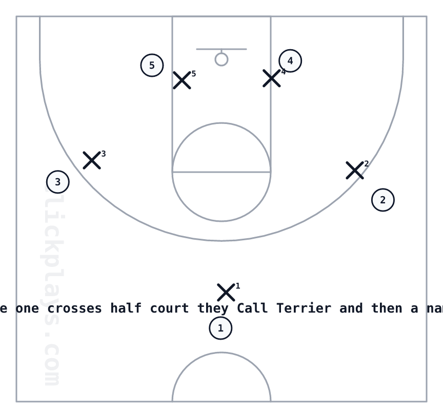Terrier, basketball play